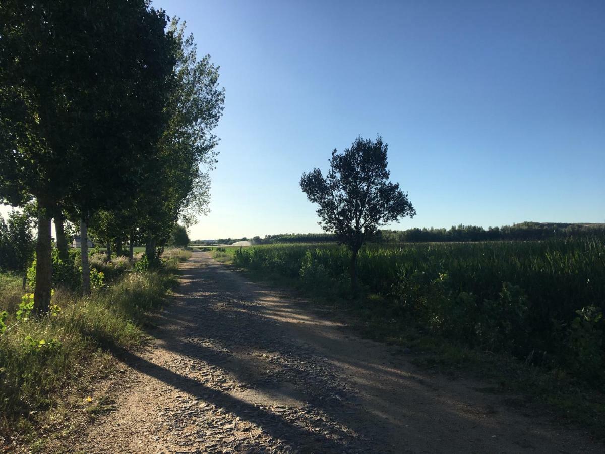 Casas Olmo Y Fresno Jardin Y Piscina A 17 Kilometros De Salamanka Zewnętrze zdjęcie